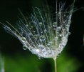 /album/fenykepgaleria/a673021-jpg/