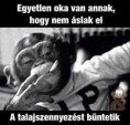 /album/kepgaleria-en/0b1b4db0cde2dca0ce7ca8abbaf5d7b9-jpg/