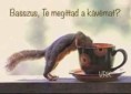/album/kepgaleria-en/0c7a639c691c1175e3de7d8ee29285a3-jpg/