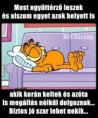 /album/kepgaleria-en/0e65f0f6adcf6851729fc0a16432a98d-jpg/