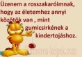 /album/kepgaleria-en/1bef6777378692ac4907d1fb2799ef7c-jpg/