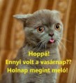 /album/kepgaleria-en/1d7c06a1517669c4767abadd0fef4e44-jpg/