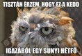 /album/kepgaleria-en/02caaac8da42d7b7f80fb06e31c66f89-jpg/