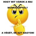 /album/kepgaleria-en/2cac860f7a482bb1a2d6a7cc3525e8fb-jpg/