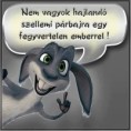 /album/kepgaleria-en/2d855d4c1d8b5004da231f987bf49b6a-jpg/