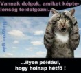 /album/kepgaleria-en/2fa0ed4c608a2fc33be472db6f0642a1-jpg/