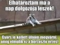 /album/kepgaleria-en/3caaae9f077c6ae3b76b5468d51054c6-jpg/