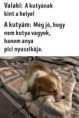 /album/kepgaleria-en/3ed8cf73675f679c98a8b2157ac5c5aa-jpg/