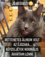 /album/kepgaleria-en/5e6acab3ec2bd54da4c11277fca924ec-jpg/