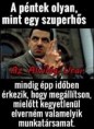 /album/kepgaleria-en/5f6557763da6f8e2334eed6511038810-jpg/