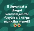 /album/kepgaleria-en/6ab6d9f1bd21db8d2bdf29cb39bec7fd-jpg/