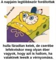 /album/kepgaleria-en/6ea253a05bec3cbbc5fdc7ba9f7cfd7f-jpg/