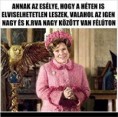 /album/kepgaleria-en/7c25ce3b40da2c9e92e99a2b14b20173-jpg/