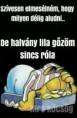 /album/kepgaleria-en/7ffd9d554d4780ef23624d12cd52134b-jpg/
