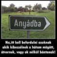 /album/kepgaleria-en/8aa23af1f384819940b65a9a79d45927-jpg/