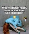 /album/kepgaleria-en/9b86339bf7be478d7416b3ef48e297c9-jpg/