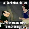 /album/kepgaleria-en/9e2c88fe2d8f190859f80b3a96fc1691-jpg/