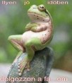 /album/kepgaleria-en/9e234e9b19ccdd255440d851ec3e6da8-jpg/