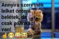 /album/kepgaleria-en/17b4d47f3e4d1c820f0ecbfb3c244f3a-jpg/