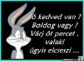 /album/kepgaleria-en/22e717a834ad19b405ec84324f7bd180-jpg/