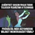 /album/kepgaleria-en/25f877dcb5e52688f1c40fda57ad8107-jpg/