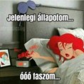 /album/kepgaleria-en/29b54b3dcb0ee878fba646ce8e1c87db-jpg/