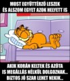 /album/kepgaleria-en/33b695b35bfe5f0d11fd3f982a2e96fe-jpg/