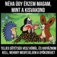 /album/kepgaleria-en/44d101af1917244bdea97ae5fe7b970a-jpg/
