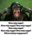 /album/kepgaleria-en/54f7ed8bcce9c947584cc8d13fbf3c25-jpg/
