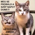 /album/kepgaleria-en/68d8e769e3bd5c94e7e90cc1e9a1a10c-jpg/