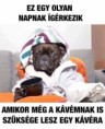 /album/kepgaleria-en/85ec857f7ff83a1eb97e163926a998ee-jpg/