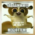 /album/kepgaleria-en/86acb77a657ffafacc917d3325ad8497-jpg/