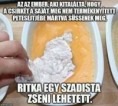 /album/kepgaleria-en/88a16a6db2a9af2e1a4c097d63b0ec23-jpg/
