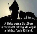 /album/kepgaleria-en/88d20e489c5dfdfce0148ba6f85083a3-jpg/