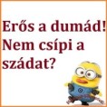 /album/kepgaleria-en/95c9581d5d9c13e695449bea1eb2e776-jpg/