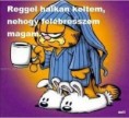 /album/kepgaleria-en/97f7b0a118bde3243459ec653bdbc106-jpg/