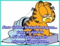 /album/kepgaleria-en/240f2a034293eb3fa361d4f94cc23447-jpg/