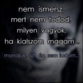 /album/kepgaleria-en/335c441f76321c00772c0e2bd3a46379-jpg/