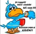 /album/kepgaleria-en/354d20eb5a9a450ff05b17506da66eef-jpg/