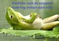 /album/kepgaleria-en/398e11ca13936b94c62d55a1a113ed1c-jpg/