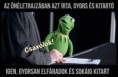/album/kepgaleria-en/477dd8f14a213b4f361d3785c2047ba8-jpg/