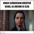 /album/kepgaleria-en/494a8a017aac5e2ed5b5310c7db0364c-jpg/