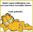 /album/kepgaleria-en/752d3ab274de3b2ff1dd0e89a70708a8-jpg/