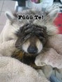 /album/kepgaleria-en/1736cd00b964081de2d1892f66add285-jpg/