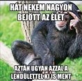 /album/kepgaleria-en/2099b26b7bb9a04bb11ccfe6a8f03ec5-jpg/