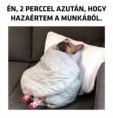 /album/kepgaleria-en/17839b6adf5fbf1a89649c37783d0db7-jpg/
