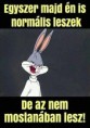 /album/kepgaleria-en/39468a5569518ff9cc3b76275718469c-jpg/