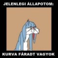 /album/kepgaleria-en/90835e467f67c748bb5cc6f67c186769-jpg/