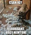 /album/kepgaleria-en/95557c6e7ceeeacb0d195576b18df831-jpg/