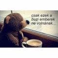 /album/kepgaleria-en/507615dfc6bd4d29f731592d3cd55f4e-jpg/